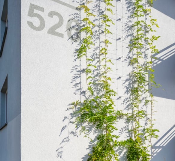 Groene gevel