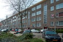 De Bosleeuw renovatie (1)