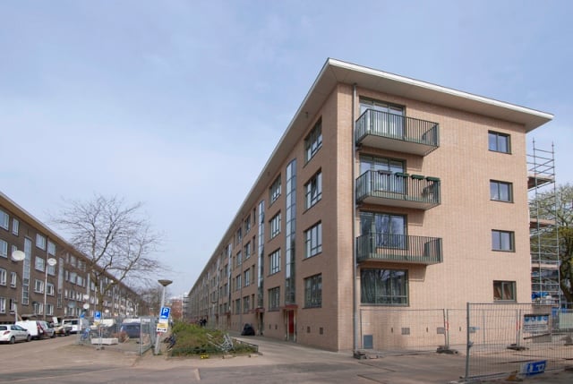 De Bosleeuw renovatie (2)