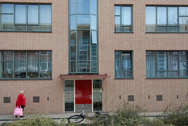 De Bosleeuw renovatie (4)