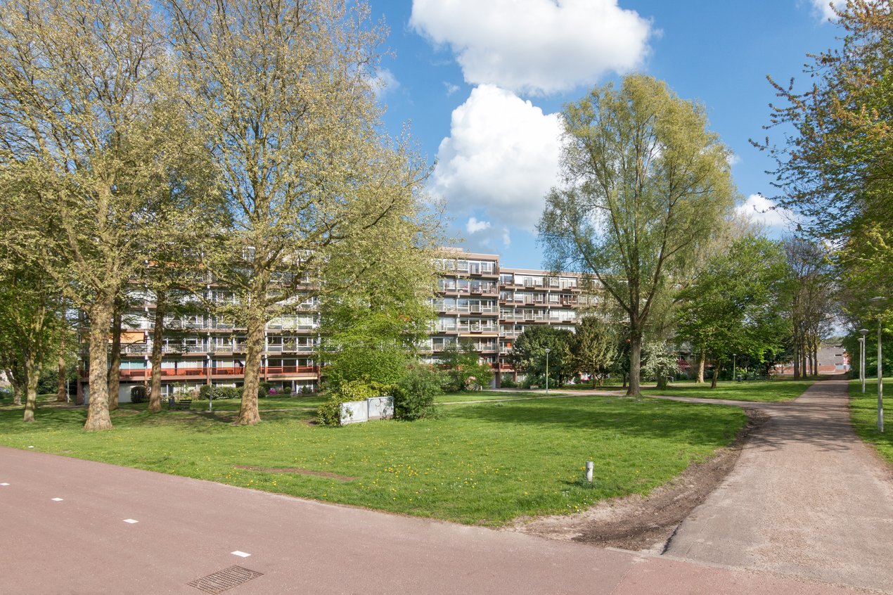 RJEAN_Garstkamp_IMG_1147_web