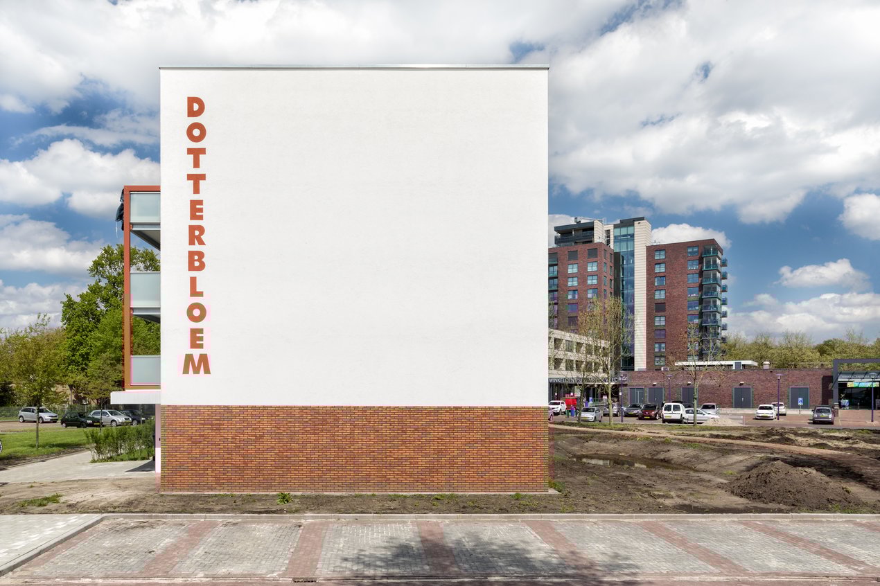 RJEAN_Dotterbloem_Assen_M7A0566_web