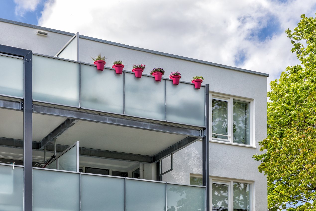 RJEAN_Dotterbloem_Assen_M7A0576_web