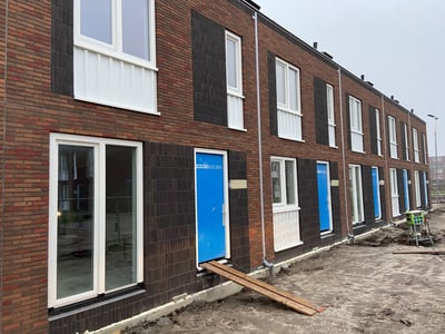 Nieuwe Es
