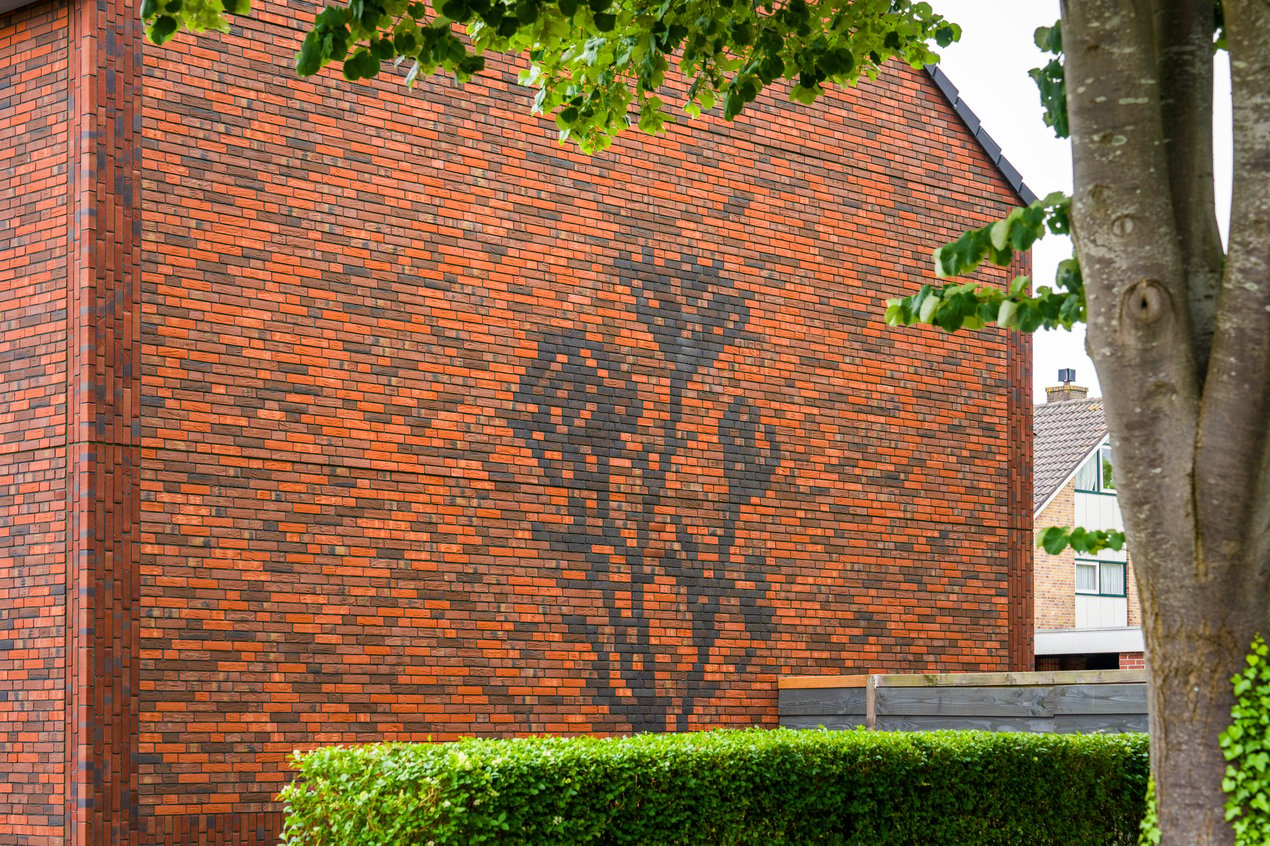 Minerale gevel - Ranonkelbloem
