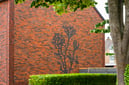 Minerale gevel - Ranonkelbloem