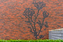 Ranonkelbloem zijgevel Hoogkarspel
