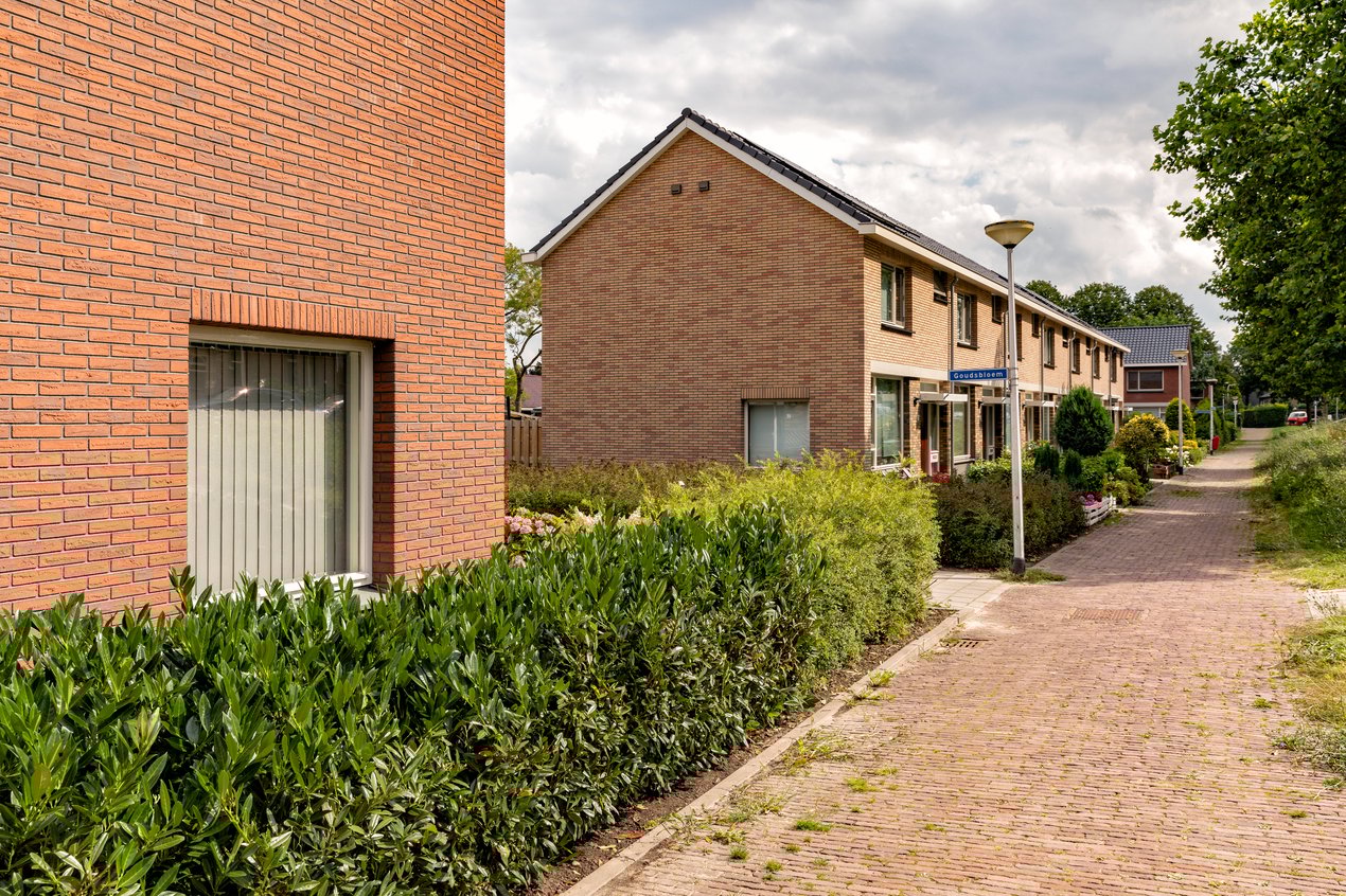 AVN_Sto_Rhoon-Zonnebloem_AVN7702_web