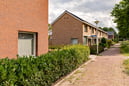 AVN_Sto_Rhoon-Zonnebloem_AVN7702_web