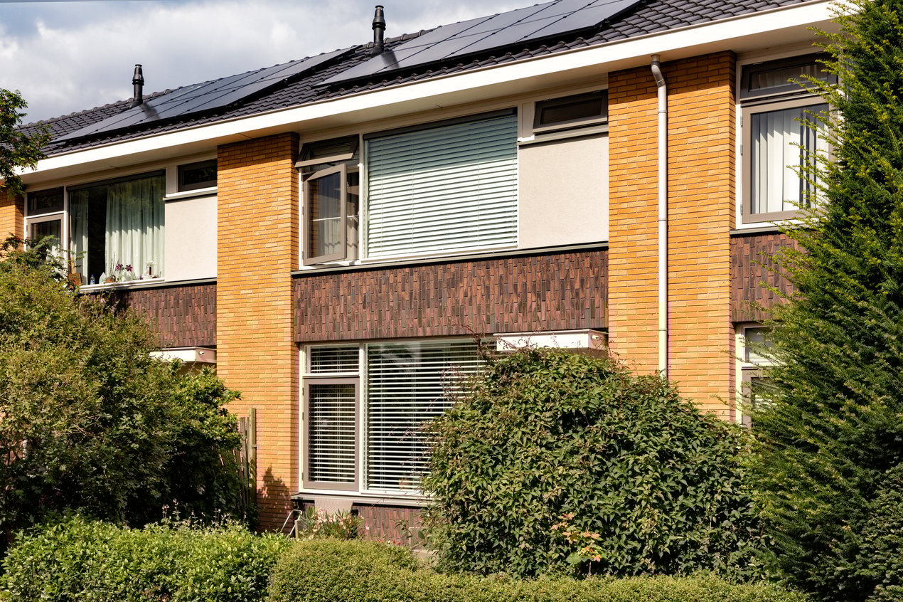 AVN_Sto_Rhoon-Zonnebloem_AVN7714_web