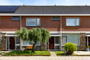 AVN_Sto_Rhoon-Zonnebloem_AVN8041_web
