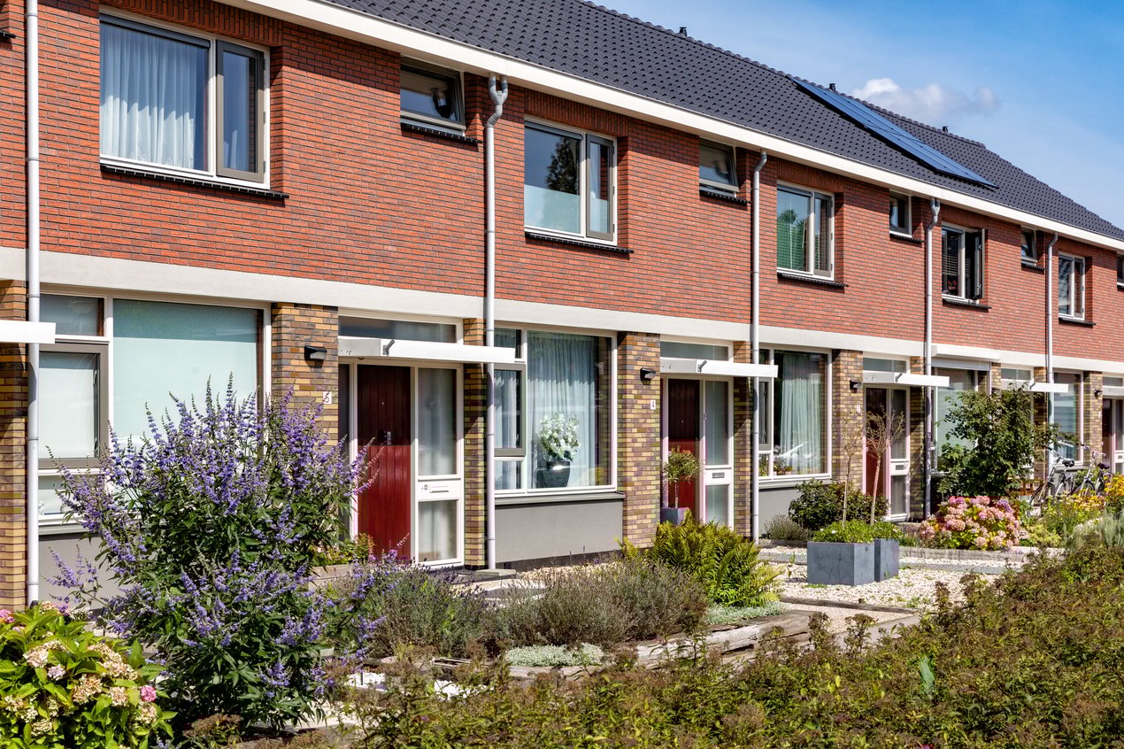 AVN_Sto_Rhoon-Zonnebloem_AVN8068_web