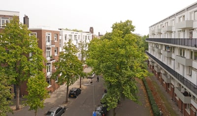 Rosener Manzstraat