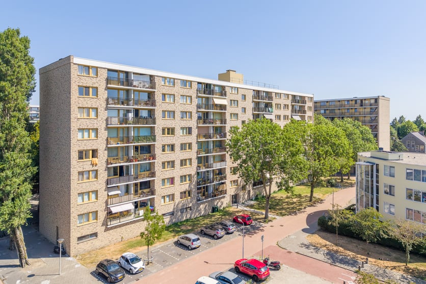 Sto Isoned - Statenhoek Zaandam-41